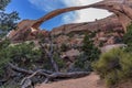 A view of Landscape Arch backdrop in Arches National Park, Moab, Utah Royalty Free Stock Photo