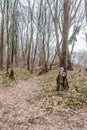 Fruska gora National Park is located in Vojvodina, Serbia, not far from the city of Novi Sad Royalty Free Stock Photo