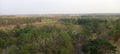 View decreasing trees in the dry season