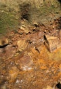 SLUDGY MUD DRYING BETWEEN ROCKS ON THE SIDE OF A DIRT ROAD