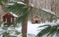 View Of Defocused Small Log Cabin Through Spruce Branches With Snow Caps