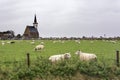 View on Den Hoorn, a little community on Texel, a Wadden island, the Netherlands. Royalty Free Stock Photo