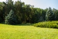 View of the dendrological garden in Askania-Nova reserve, Ukraine