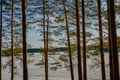 View from the depths of the forest on a frozen lake Royalty Free Stock Photo