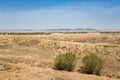 View of the desert in Karakalpakstan Royalty Free Stock Photo