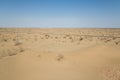 View of the desert in Karakalpakstan Royalty Free Stock Photo