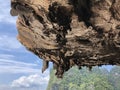 View of the deserted, clean beach on the background of hanging unique rocks of the island of Thailand on a clear day, a sense of