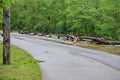 View the Destruction from the Roanoke River, Roanoke, Virginia, USA Royalty Free Stock Photo