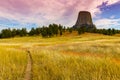 View of Devils Tower From The Joyner Ridge Trail Royalty Free Stock Photo