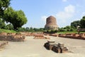 View of Dhamek Stupa. Sarnath, India