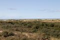 View on the different growing plants at the sand dune under a blue sky on the northern sea island borkum germany Royalty Free Stock Photo