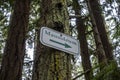 Angled view of a directional arrow sign, pointing the direction to a mausoleum deep in a forested area in the San Juan Islands Royalty Free Stock Photo