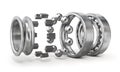 View of disassembled bearing isolated on a white background. See parts of detail