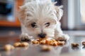 View of dog eating food from a bowl Royalty Free Stock Photo