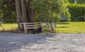 View on dog Rottweiler lying under tree on the lawn.