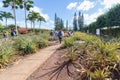 View of the Dole Pineapple Plantation in Wahiawa, Tour destination Royalty Free Stock Photo