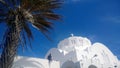 View of the dome of the Orthodox Metropolitan Cathedral of Fira town in Santorini. With a palm tree in the foreground. Royalty Free Stock Photo