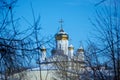 View of domes of Orthodox Church through branches of trees in winter