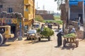 View of donkey cart and street life in Luxor, Egypt