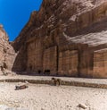 A view of donkeys in front of burial sites in the ancient city of Petra, Jordan Royalty Free Stock Photo