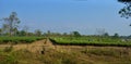 View of Dooars on a summer day. Traveling to Dooars