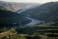 View of the Douro River bends and slopes from the vineyards of the Douro Valley, Portugal.