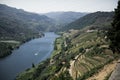 View of the Douro River, located in the Douro Valley, Portugal. Royalty Free Stock Photo