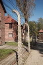 View down the barbed wire fence, Auschwitz Royalty Free Stock Photo