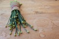 View down a bunch of budded chive leaves bound in burlap and twine on a weathered wood table, copy space Royalty Free Stock Photo