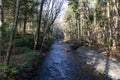 View down the center of a mountain stream in a fall winter landscape, early morning light Royalty Free Stock Photo