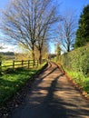 View down empty country lane on beautiful Autumn day. Royalty Free Stock Photo