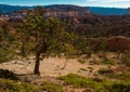 View from down of hoodoos