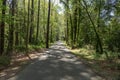 View down a long, straight stretch of public access bike and walking path, shade with dappled sunlight, North Augusta South Caroli Royalty Free Stock Photo