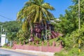 A view down the main highway on Roatan Island Royalty Free Stock Photo