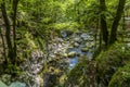 A view down a rocky river bed leading from the Savica waterfall feeding lake Bohinj, Slovenia Royalty Free Stock Photo