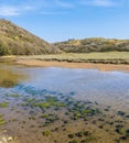 A view down a stream towards the castle ruins at Three Cliffs Bay, Gower Peninsula, Swansea, South Wales