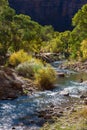 View down the Virgin River Royalty Free Stock Photo