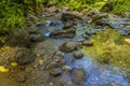 A view downriver from the Gendarme in the rain forest of Martinique Royalty Free Stock Photo