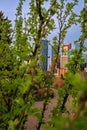 Downtown Calgary Framed By Lush Green Foliage