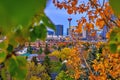 Downtown Calgary Skyline Framed By Fall Foliage Royalty Free Stock Photo