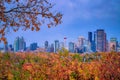 Downtown Calgary Skyline Framed By Fall Foliage Royalty Free Stock Photo