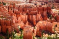 View of the dramatic red landscape Bryce Canyon National Park Royalty Free Stock Photo