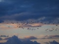 View of the dramatic sky during sunset with birds flamingos at salt lake near larnaka during winter holidays