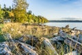 Driftwood Autumn Shoreline 3