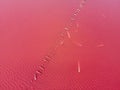 View from the drone on a pink Sasyk lake Royalty Free Stock Photo