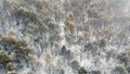 View from the drone on snow-covered fir trees, the car in the forest field. Beautiful winter snow landscape Royalty Free Stock Photo