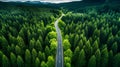 View in drone style to road between green forests