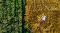 View from drone to family lying in wheat field near sunflowers with baby Royalty Free Stock Photo
