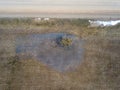 View from the drone to the spring meadow where there is a tree and the old