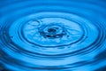 View of drops making circles on blue water surface isolated on background. Royalty Free Stock Photo